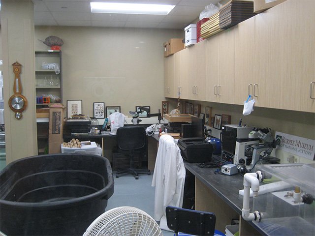 Cabinets, microscopes, and workbenches inside the museum laboratory.
