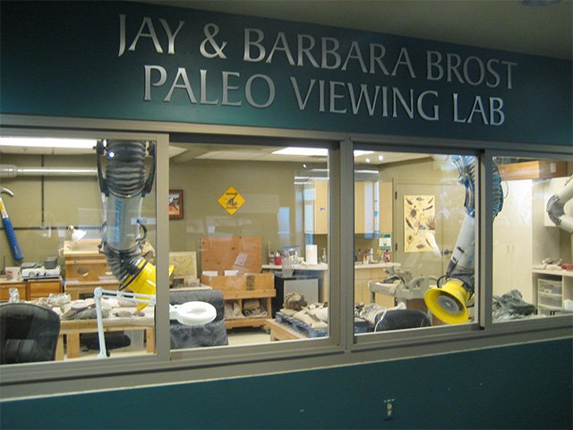 Windows into the Jay and Barbara Brost Paleo Viewing Lab.