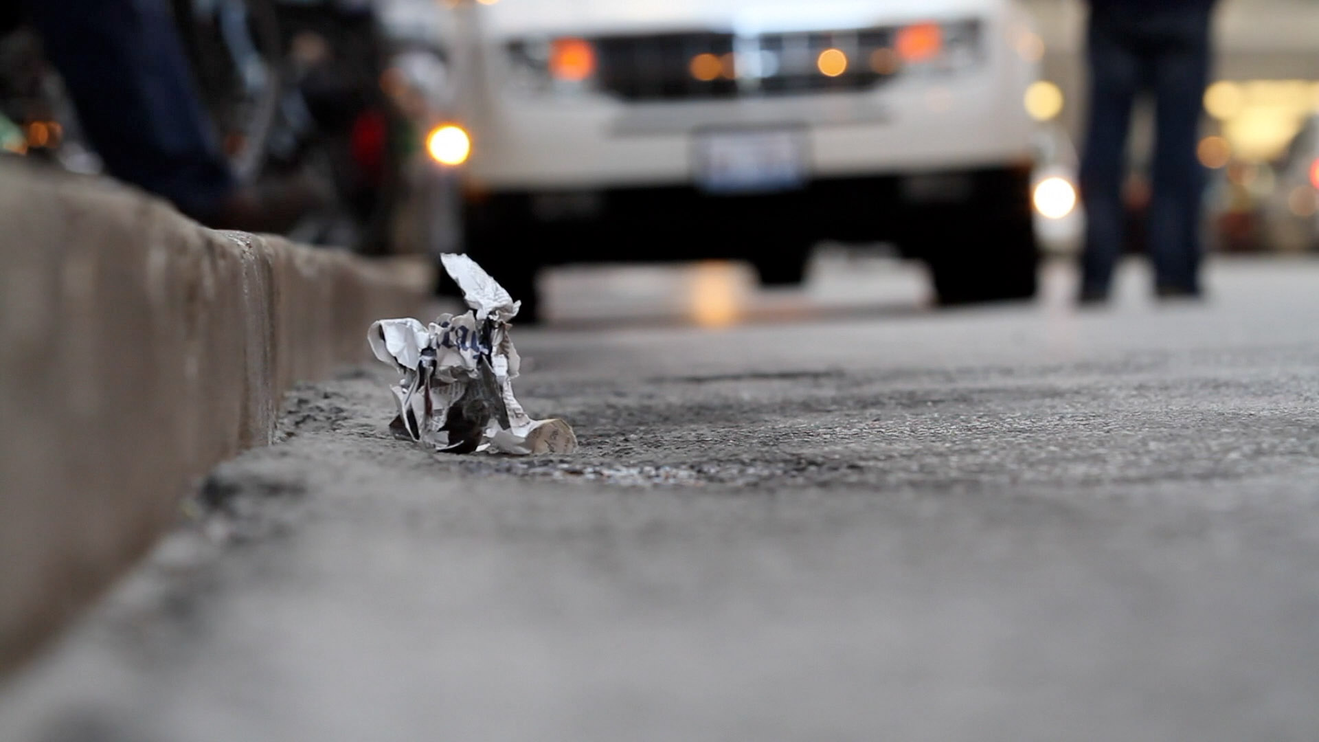 Segnisiter continuus image 1