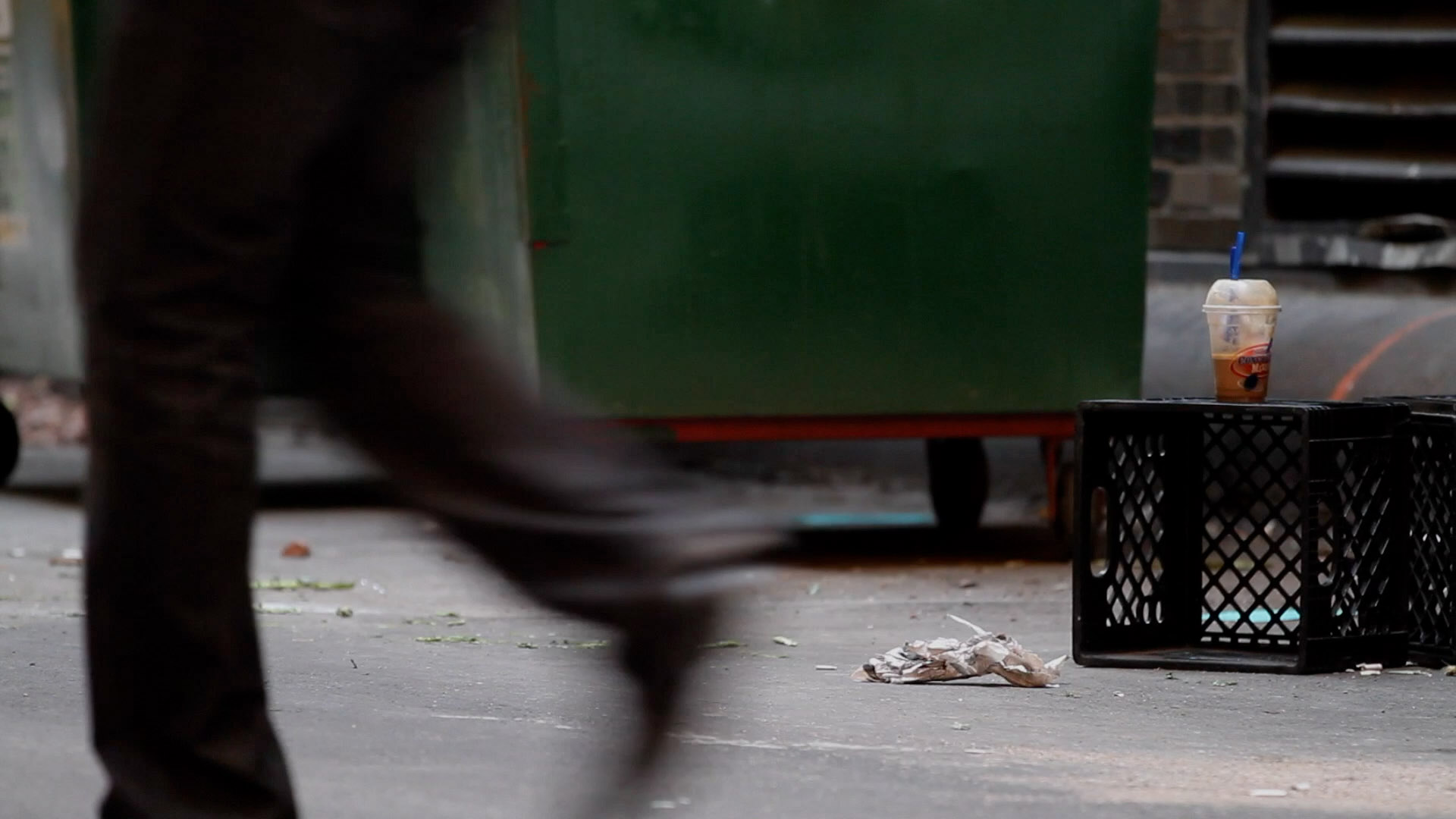 Segnisiter continuus image 2