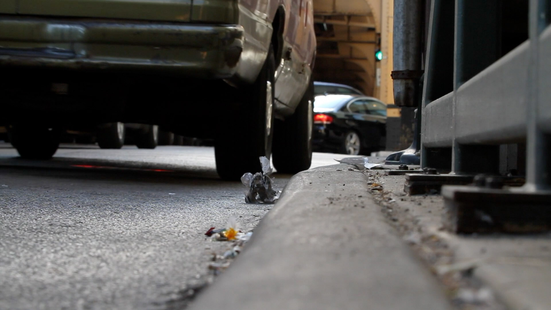 Segnisiter continuus image 4