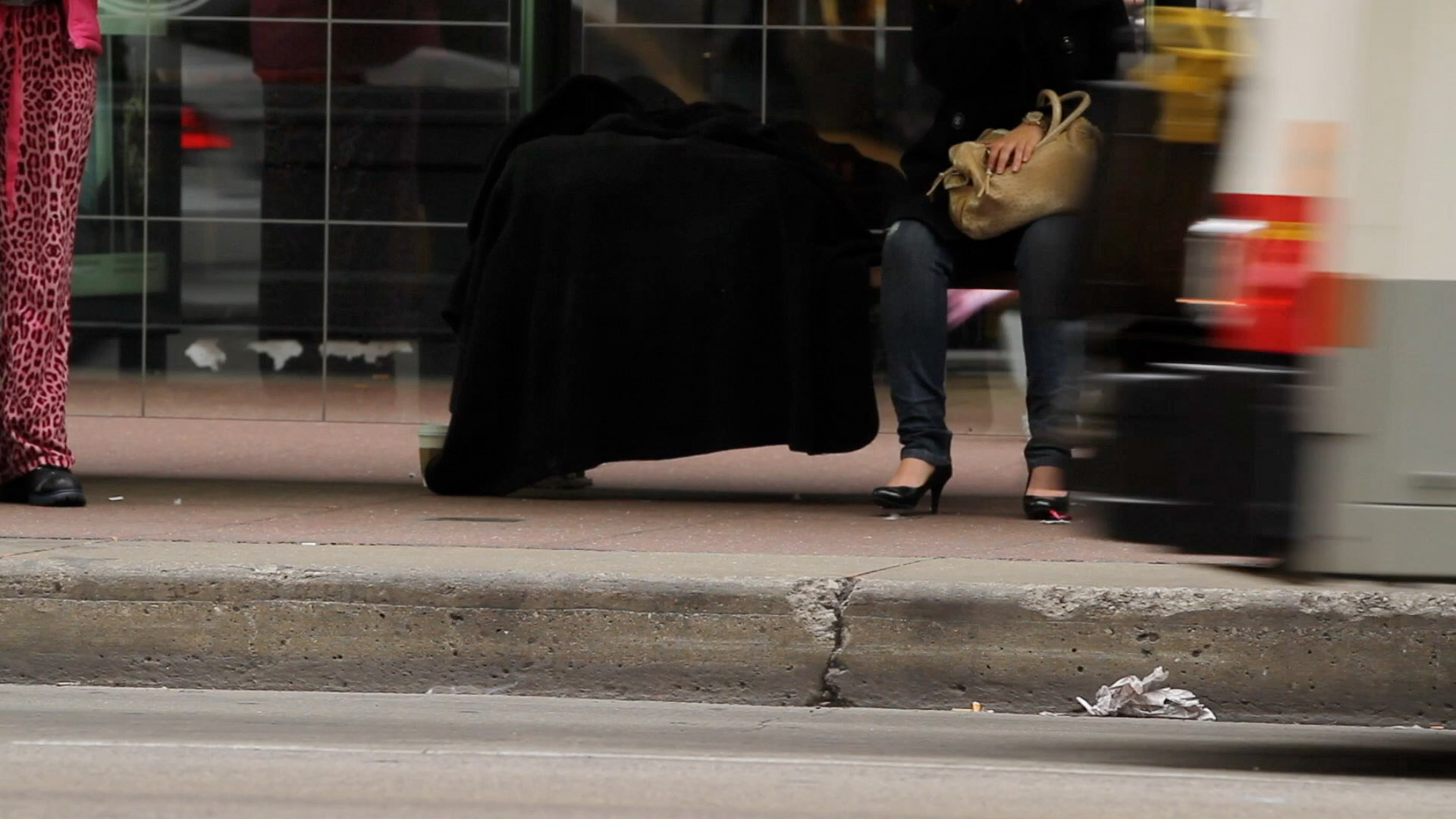 Segnisiter continuus image 5