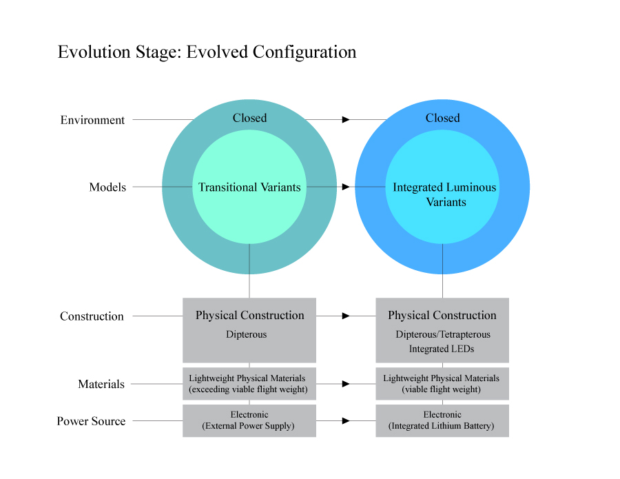 Figure 3.4, Evolved  Configuration