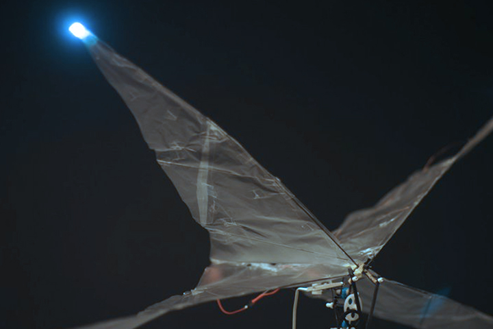 Figure 6.2, Volucris - Apex Variant (Tetrapterous Model)