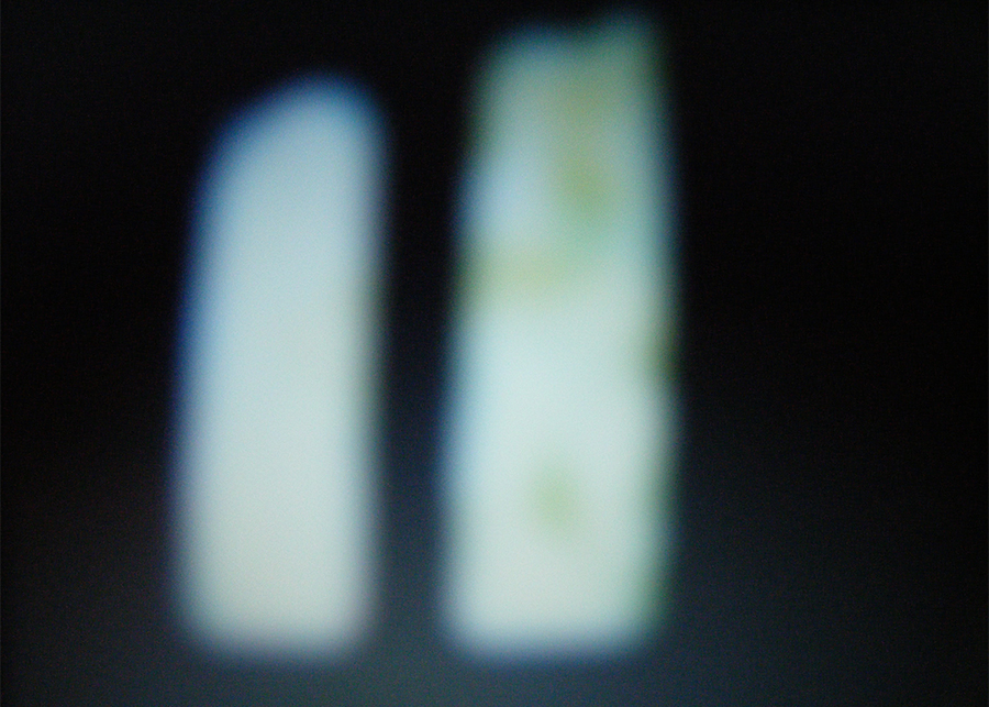 Light and the dark (2026) from the <i>Would You Like to Walk with Me</i> series.