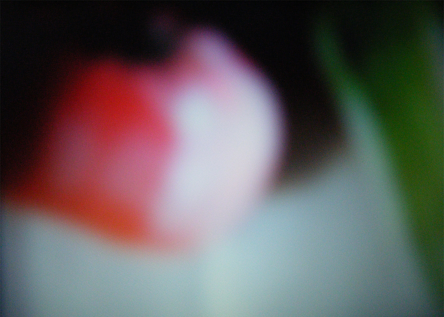 Tomato-and-Asparagus (2026) from the <i>Would You Like to Walk with Me</i> series.